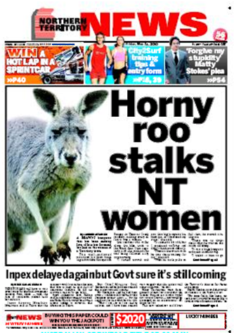 14-05-2010 ntnewshornykangaroo