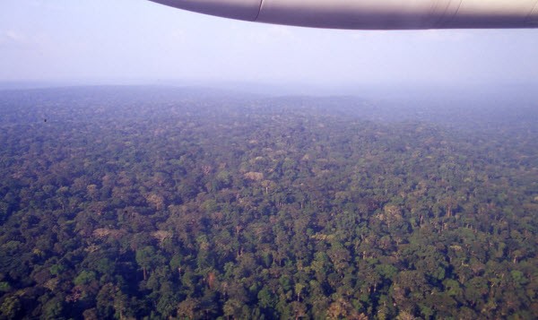 100622_Yaounde-Bayanga flight 02