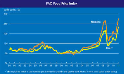 4-02-2011 faofoodpriceindex