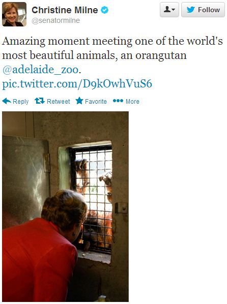 Christine Milne and the Orangutan