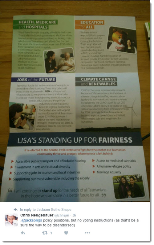 lisa singh pamphlet 2