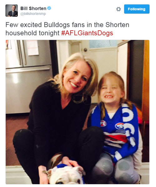 bill-shorten-bulldogs