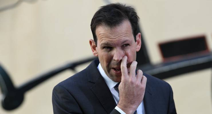 Matt Canavan Italian election