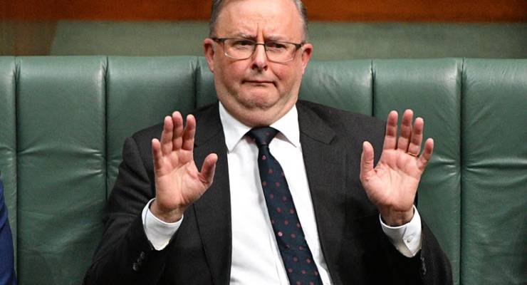 Anthony Albanese Labor