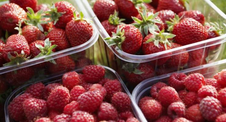 strawberry