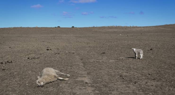 climate change drought