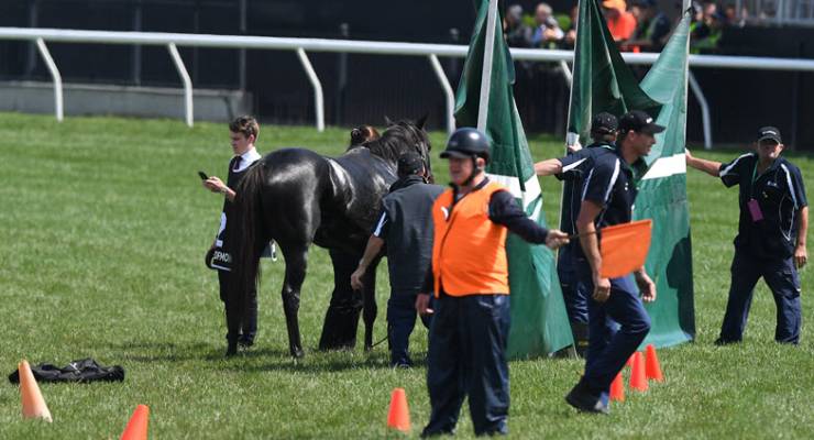 melbourne cup