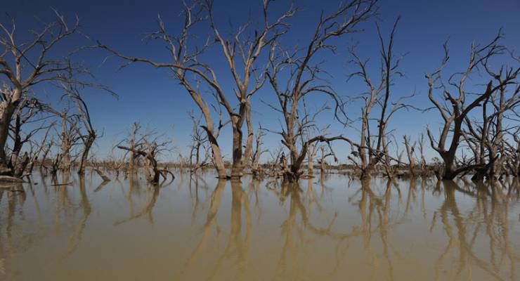 Menindee Darling River Murray-Darling