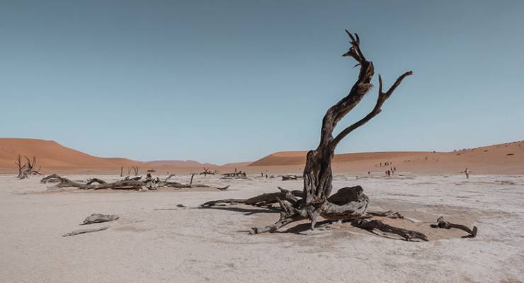 climate change media climate emergency