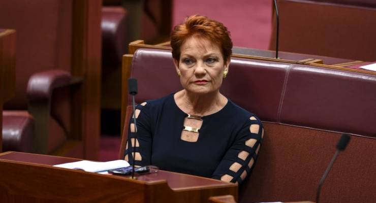 Pauline Hanson One Nation James Ashby NRA