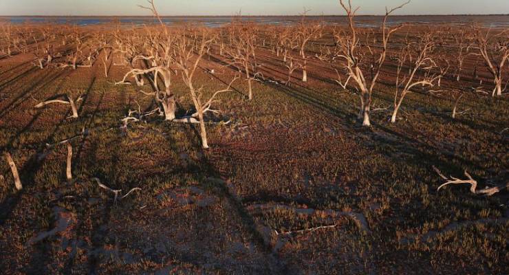The receding waters of Lake Pamamaroo which makes up part of the Menindee Lakes system