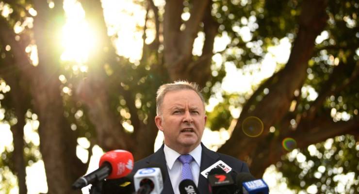 Anthony Albanese Labor leadership