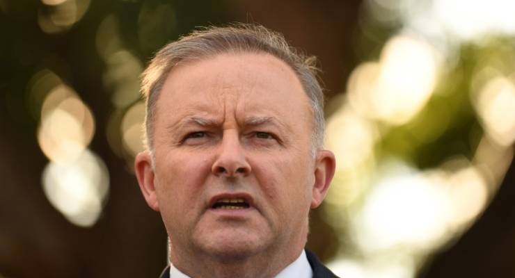Anthony Albanese Labor leadership federal election