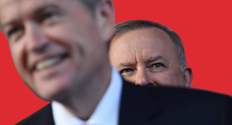 Labor leader Anthony Albanese