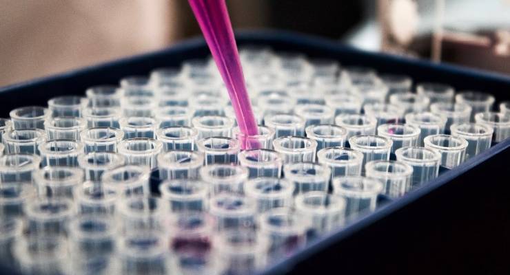 bad science watchdog academia scandal plagiarism
