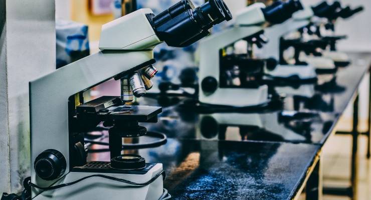 Is the future of start-ups in scientific research?