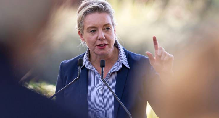 Bridget McKenzie
