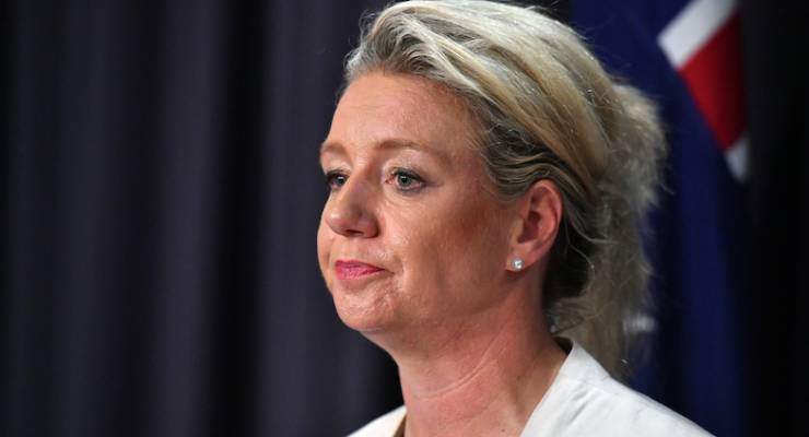 Bridget McKenzie ANAO