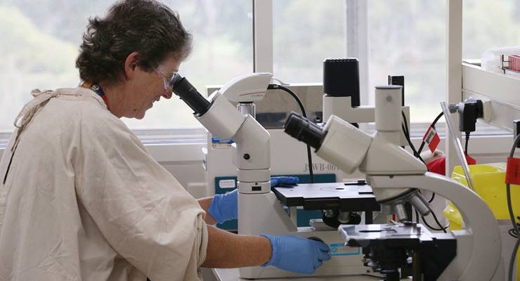 csiro scientist in laboratory