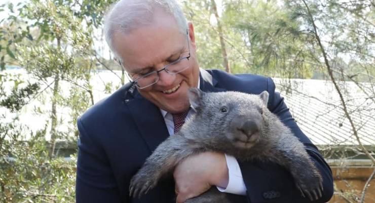 scott morrison