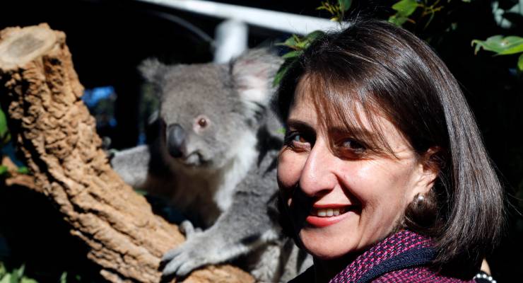 Gladys Berejiklian koala