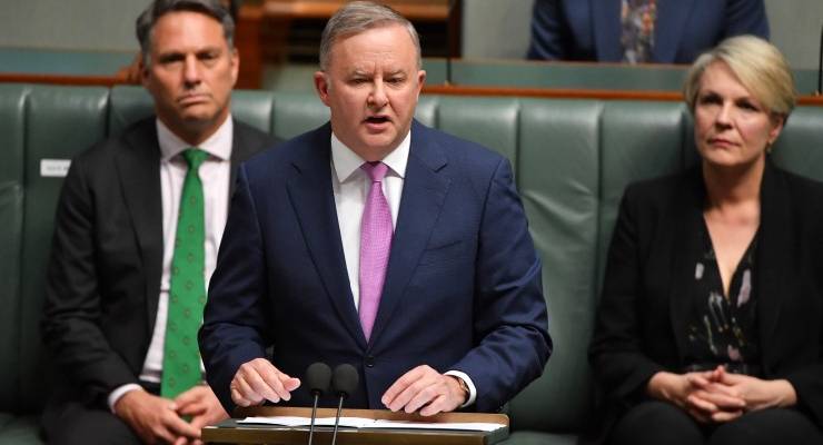 anthony albanese
