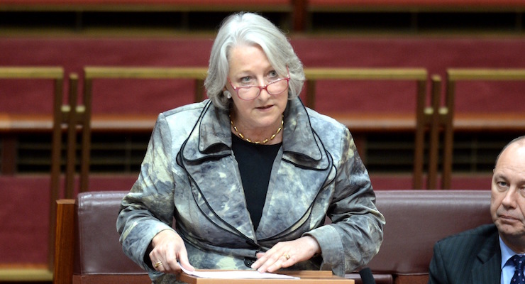 Former senator Sue Boyce