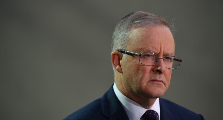 anthony albanese labor