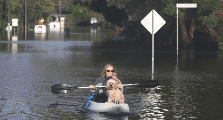 Flood NSW