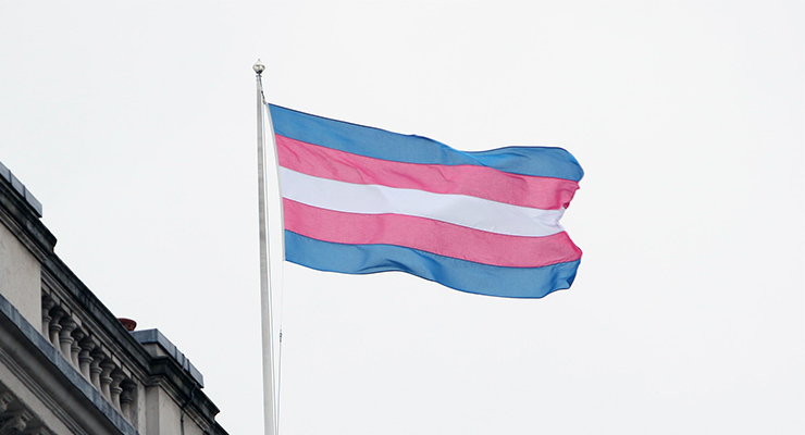 Transgender pride flag (Image: FCO/Flickr)