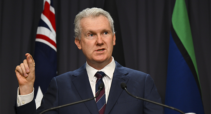 Tony Burke (Image: AAP/Lucas Coch)