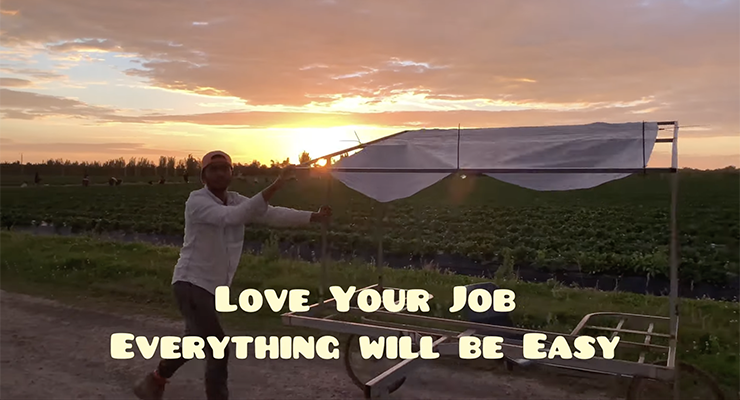 A still of a video promoting PALM workers berry picking in Queensland (Image: Nunes Cosbar/YouTube)