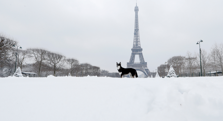 A bitter winter's day in Paris (Image: Reuters/Gonzalo Fuentes)