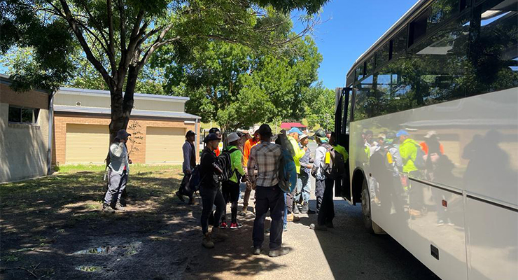 East Timorese workers board a bus during the NSW berry harvest in 2020 (Image: Dr Michael Rose/Supplied)