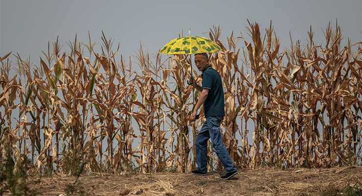 A man in a village in Jiangxi Province, China (Image: AAP/EPA/Alex Plaveski)