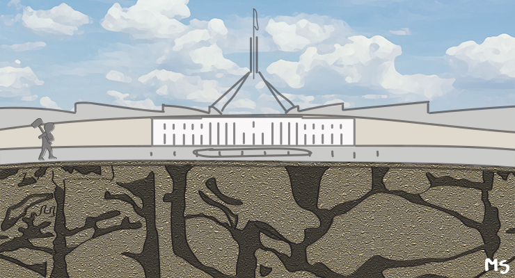 (Image: Mitchell Squire)