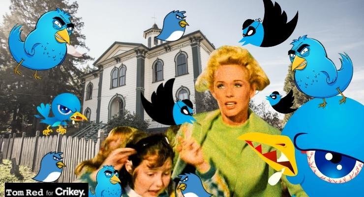 (Image: Tom Red/Private Media)