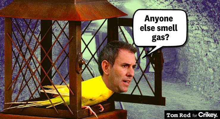 (Image: Tom Red/Private Media)