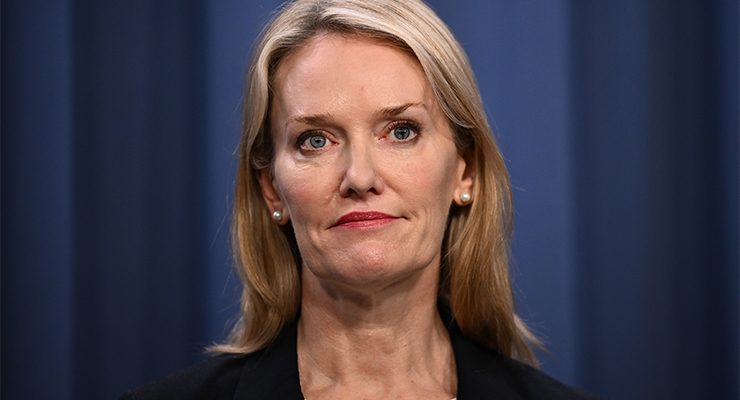NSW MP Natalie Ward (Image: AAP/Dan Himbrechts)
