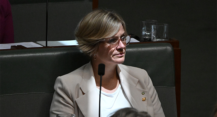 Independent Member for Warringah Zali Steggall (Image: AAP/Mick Tsikas)