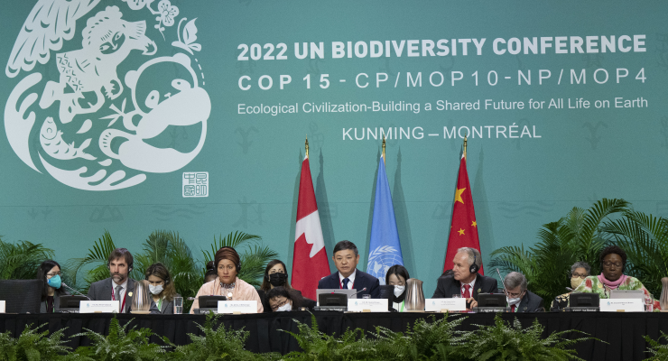 The COP15 biodiversity conference in Montreal