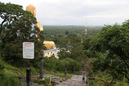 Behind the golden Buddha.