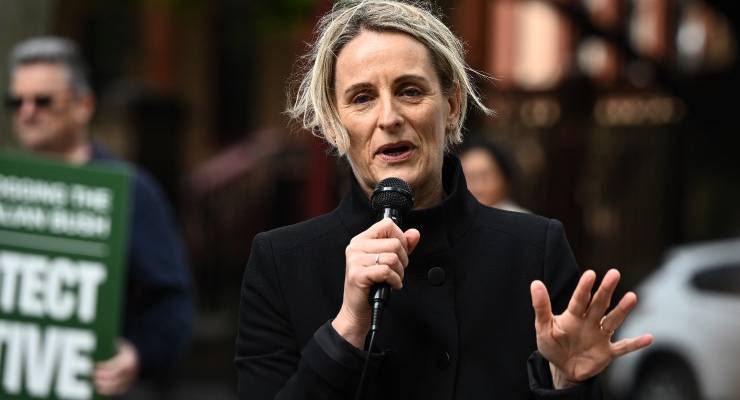 Greens MP Sue Higginson who is chairing the inquiry