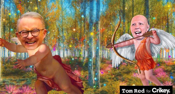 (Image: Tom Red/Private Media)