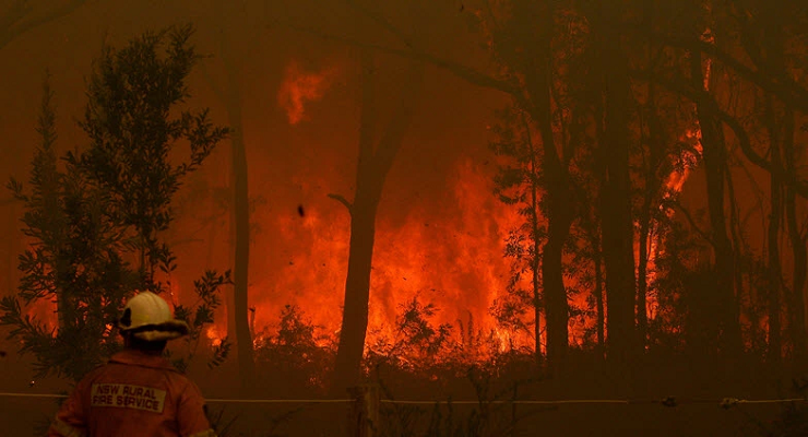 bushfire