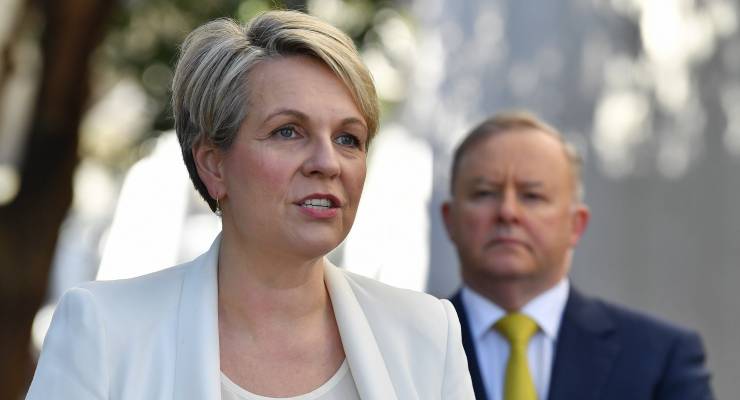 Tanya Plibersek and Anthony Albanese (Image: AAP/Dean Lewins)