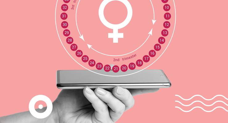 Pregnancy calendar