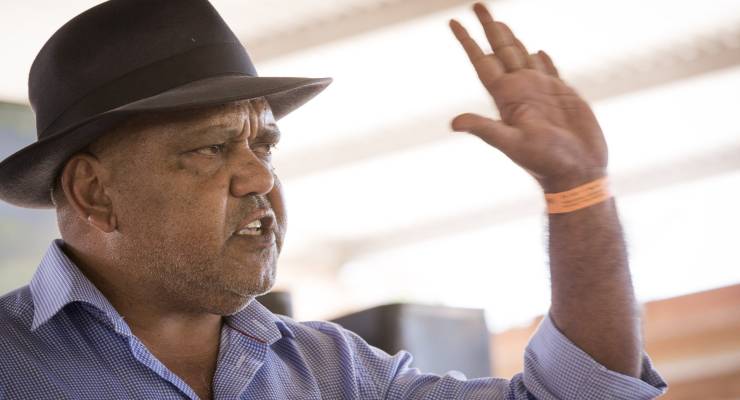 Indigenous leader Noel Pearson