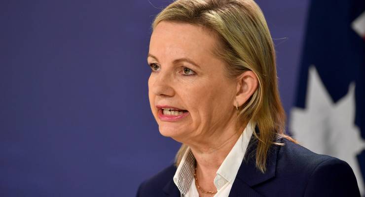 Deputy Opposition Leader Sussan Ley