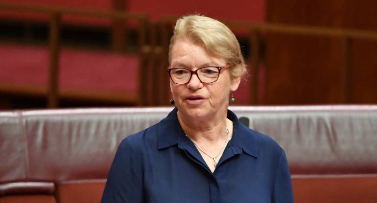 Greens Senator Janet Rice (Image: AAP/Mick Tsikas)